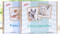 Prins OPGROEIBOX Pup / Kitten